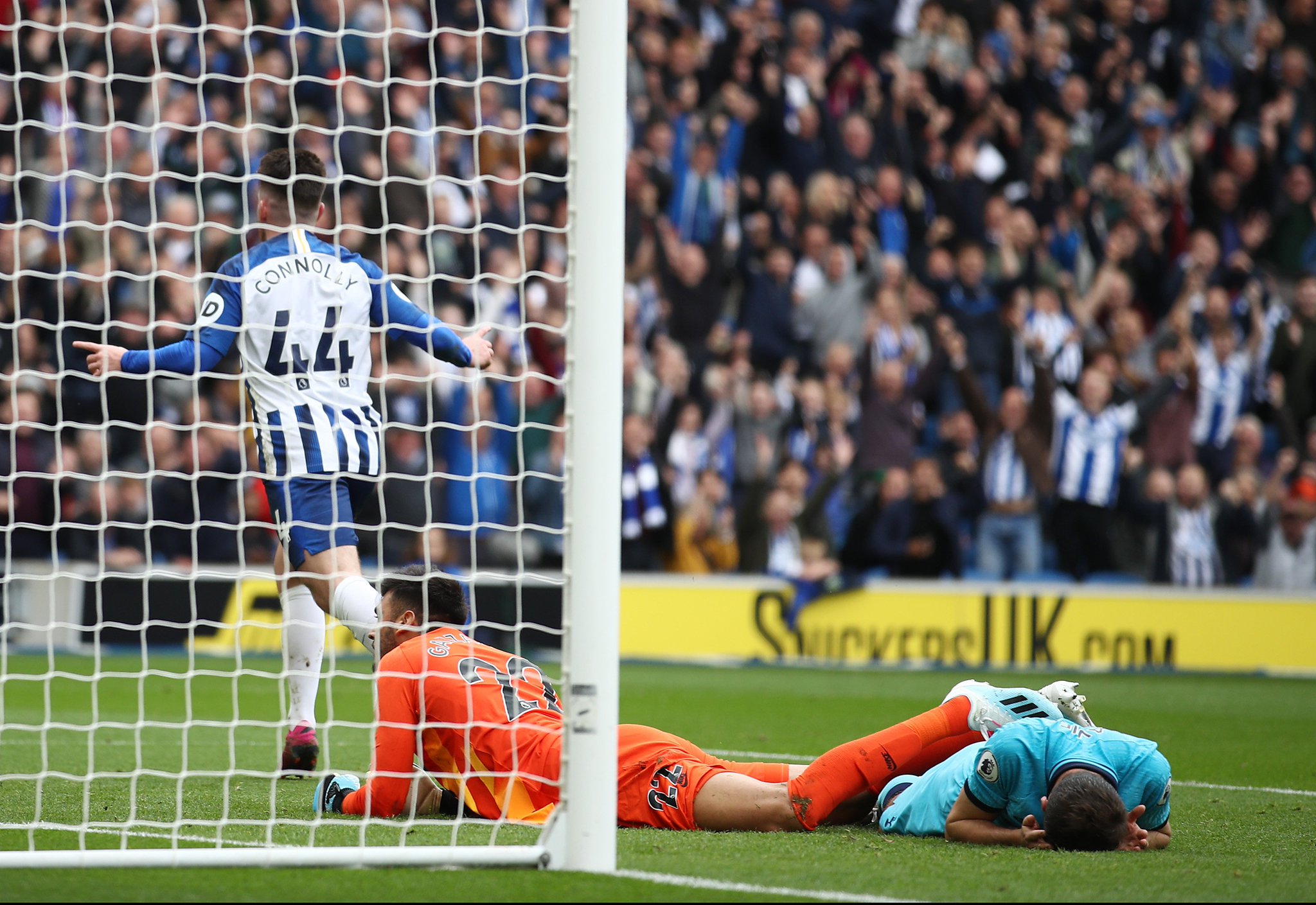 个特殊的季 个特殊的季